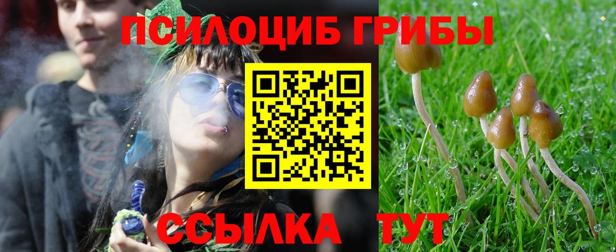 Галлюциногенные грибы мицелий Видное