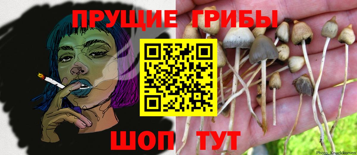 цена наркотик  Галлюциногенные грибы MAGIC MUSHROOMS  Вход с VPN  Видное 